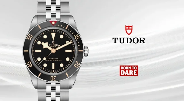Tudor Nav Image