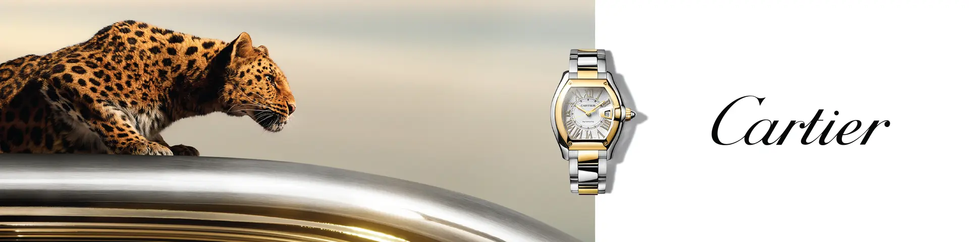 Cartier banner for Gold/Steel